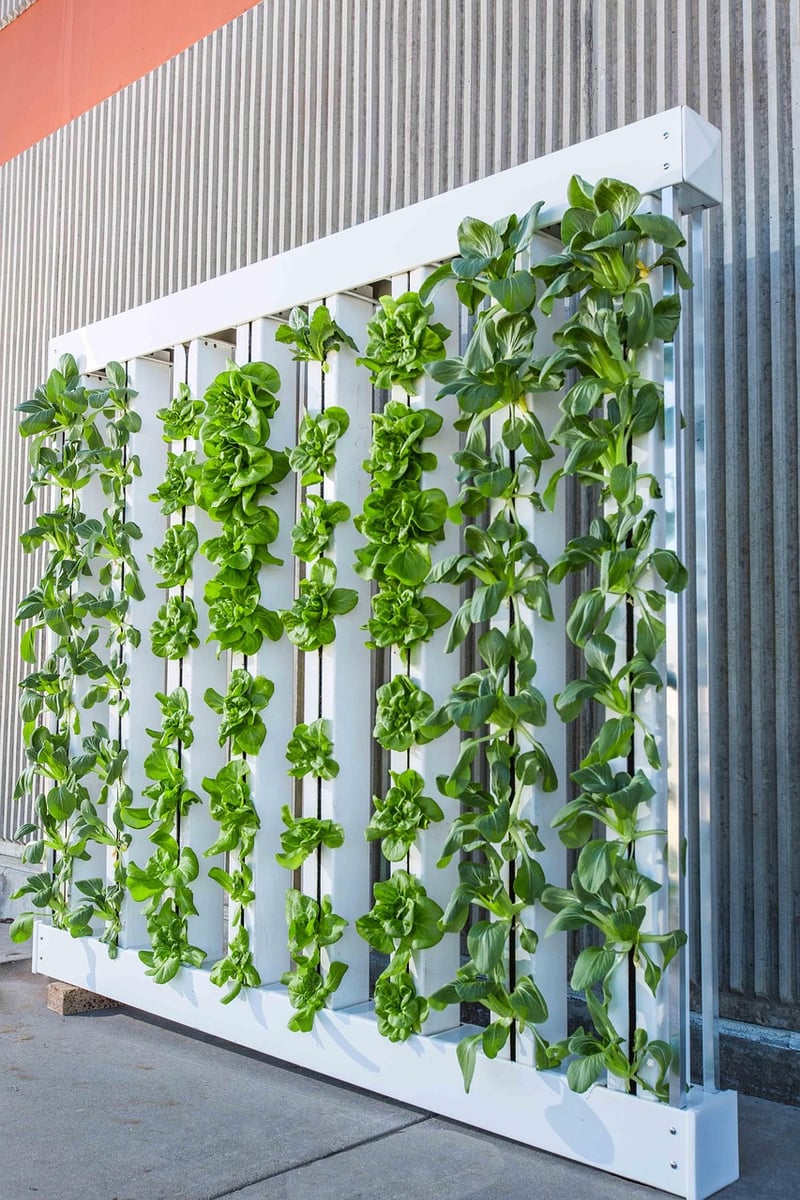 Vertical hydroponics