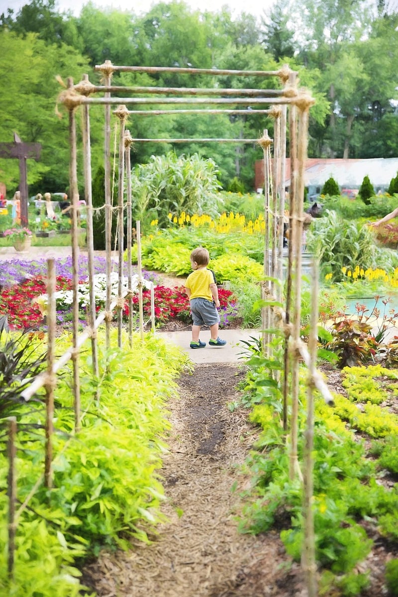 Arbor in a garden